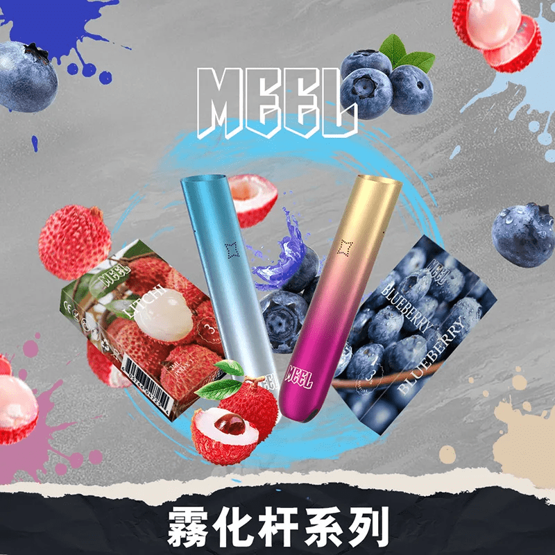 MEEL主機2