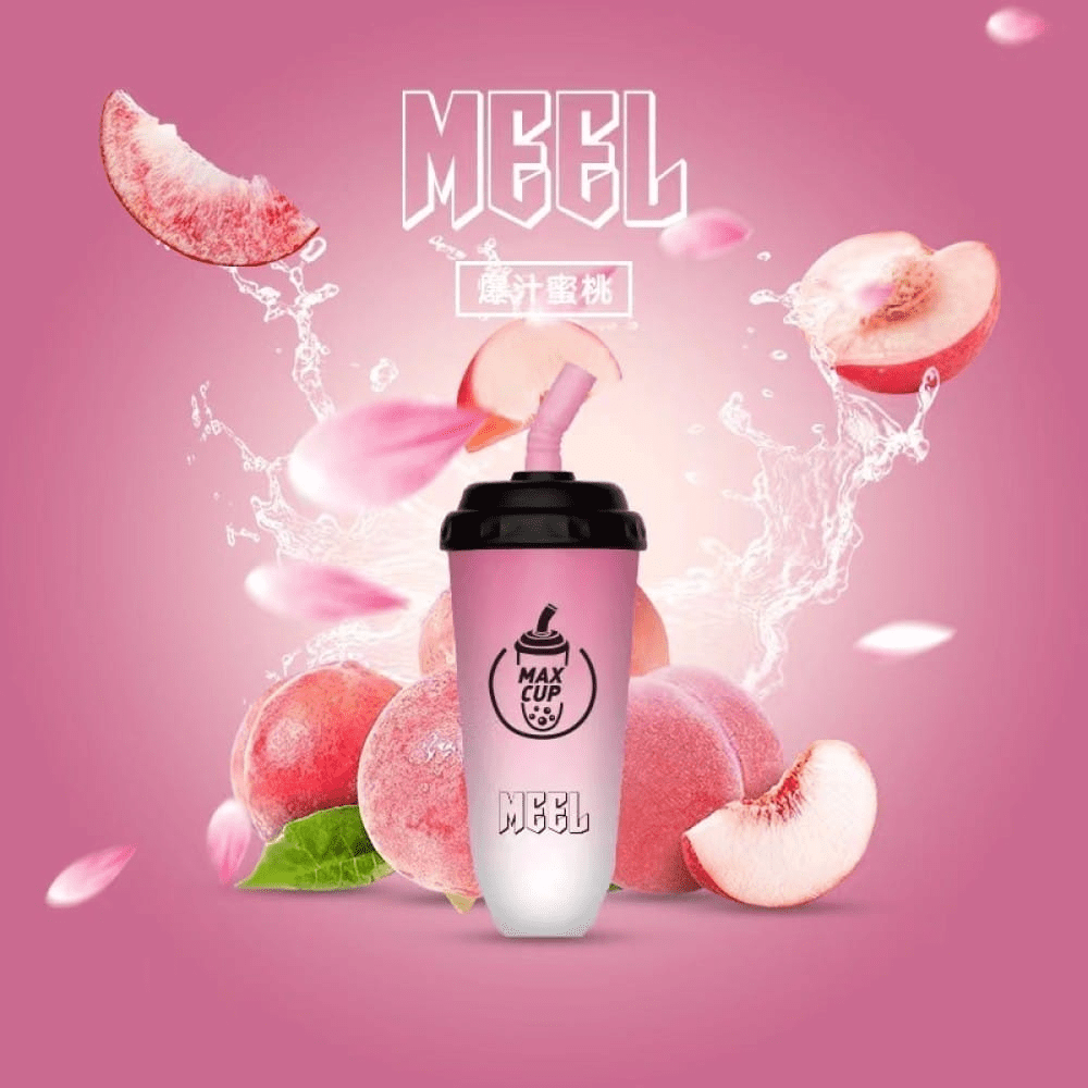 MEEL奶茶杯 6000 PUFFS 拋棄式電子煙