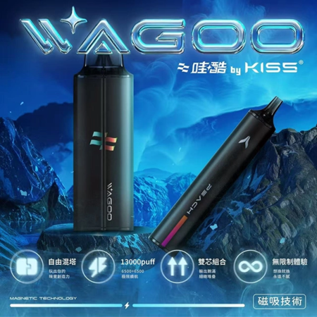 Wagoo 6500 Puffs 拋棄式電子煙